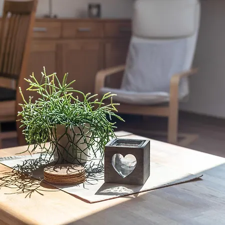Dreamy In With Terrace