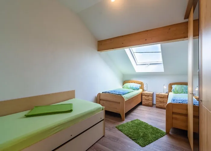 Vakantiehuis Dreamy In With Terrace *